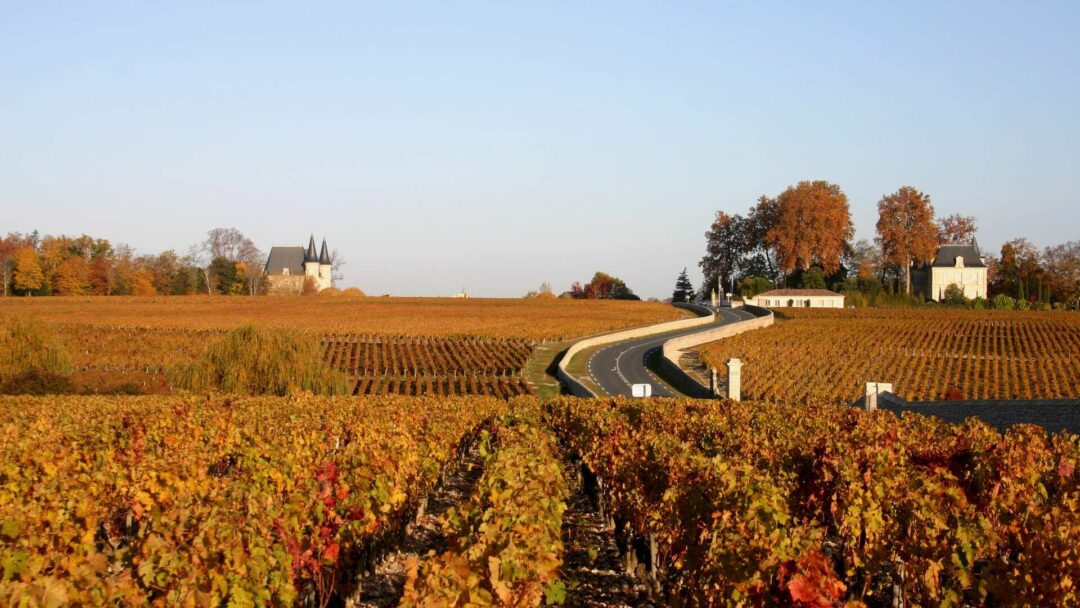 Wine Tour Médoc avec TAXI WINE TOUR